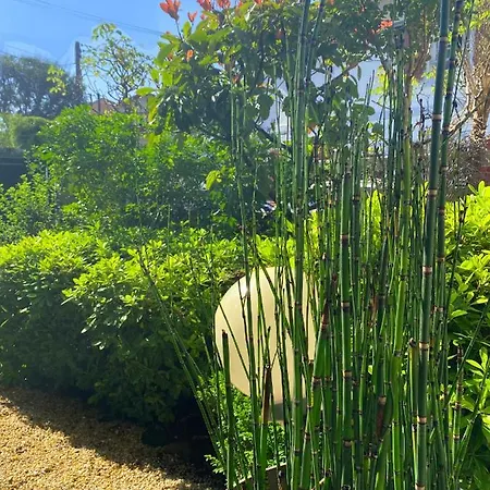 Xokoan Bed & Breakfast Biarritz